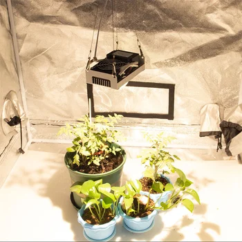 COB LED Grow Light Пълен Набор от 100 W 3000 До 3500 До 5000 Към 85-265 В Лампа за Отглеждане на Растения в Хидропоника Газове В помещението Осветление За Отглеждане на Растения