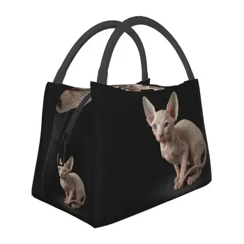 Случайна чанта за обяд Sphynx Котка за жени, смешно коте, преносим охладител, Термос за обяд, офис в болница